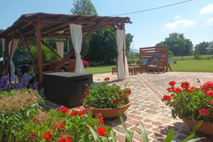 Vacanze con amici a quattro zampe