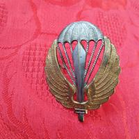 Fregio Paracadutisti