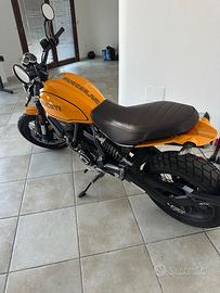 Ducati scrambler Tribute Pro 1100 2022