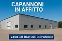 capannoni-ceggia-zona-industriale