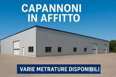 Capannoni - ceggia, zona industriale