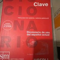 Dizionario lingua spagnolo