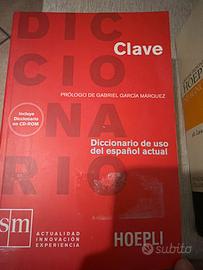 Dizionario lingua spagnolo