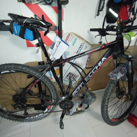 MTB Bottecchia XS 125 29" Tg. 48