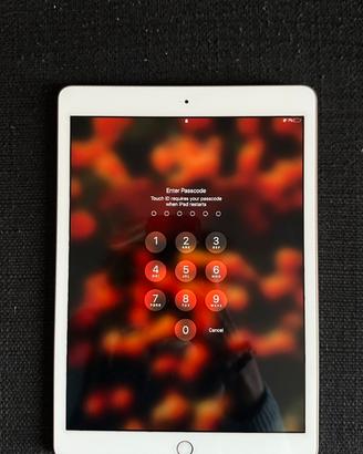 iPad 10.2 (2019)
