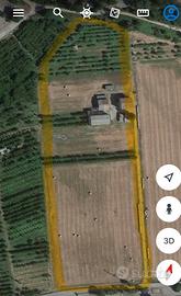 Casolare/25000 mq terreno/buona posizione
