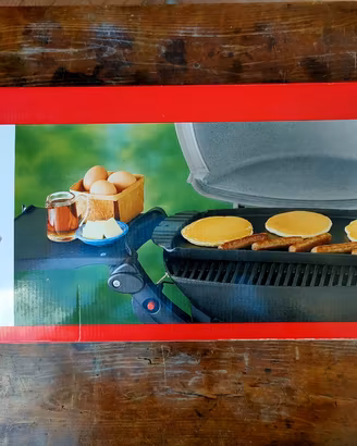 Griglia Barbecue BBQ 6504 Weber 