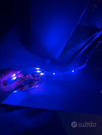 Striscia led Smart 10m