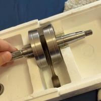 albero TOP spalle vuote