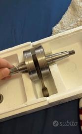 albero TOP spalle vuote