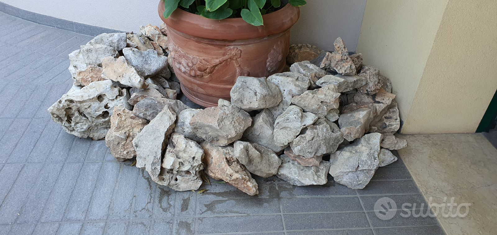 Sassi rocce pietre giardino acquario - Giardino e Fai da te In