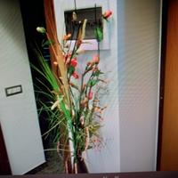 Camera Albano Laziale