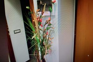 Camera Albano Laziale