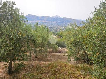 TER. AGRICOLO A PALERMO