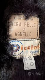 MONTONE Piccini TG 52 UOMO