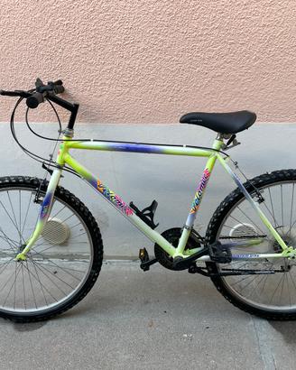 Mountain bike uomo 26’