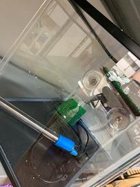 Acquario per tartarughe