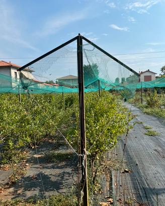 Antigrandine per filari