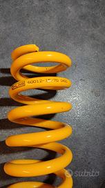 Molla ammortizzatore beta rr