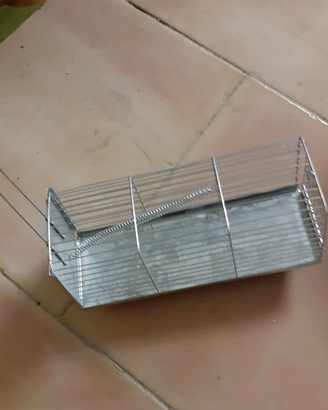Gabbia topi