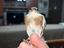Immagine 1
