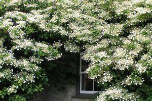 RUSTICO IN ZONA CARTURA