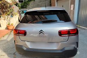 C4 Cactus 2019