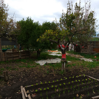 Terreno con rudere