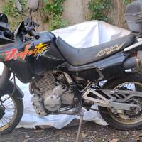 Honda Dominator 1992