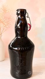 Bottiglie di birra per kit fai da te