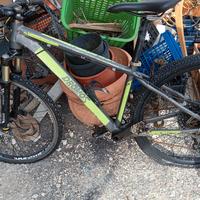 bicicletta professionale DORMOS 