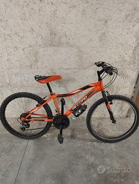 Bicicletta record vortex 24