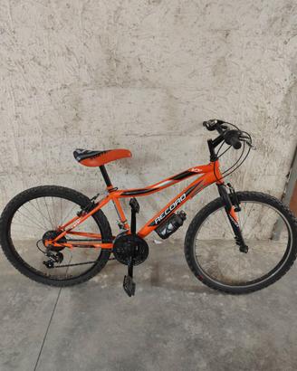 Bicicletta record vortex 24