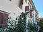 Immagine 29
