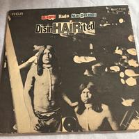 ragni rado macdermot-disinHairited