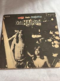 ragni rado macdermot-disinHairited