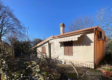 RUSTICO A PALESTRINA