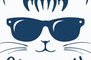 Stanze con bagno privato - Gatto Blu