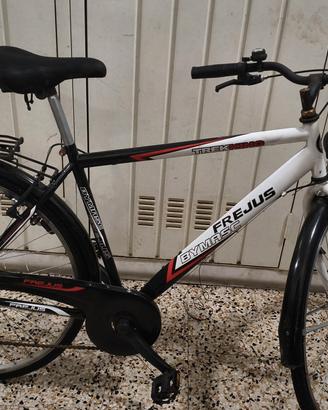 Bicicletta Frejus Trekking 28"