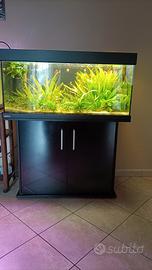 Acquario EHEIM 100x40x50  180Lt