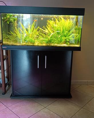 Acquario EHEIM 100x40x50  180Lt