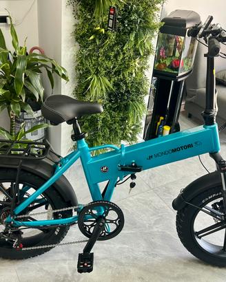 Bici elettrica fatbike