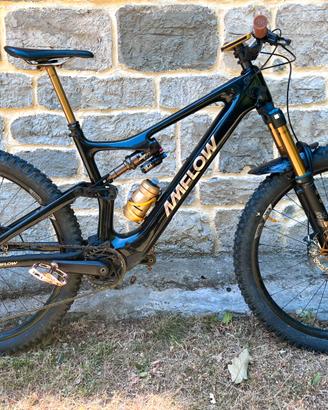 AMFLOW PL CARBON PRO