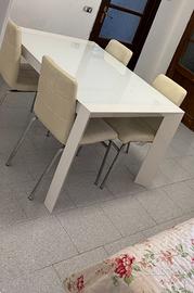 Tavolo da pranzo bianco lucido con 6 sedie