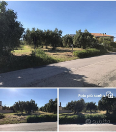 Terreno edificabile/agricolo
