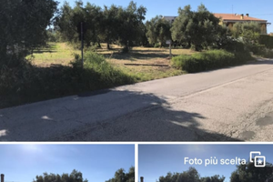 Terreno edificabile/agricolo