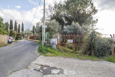 TER. AGRICOLO A PALOMBARA SABINA