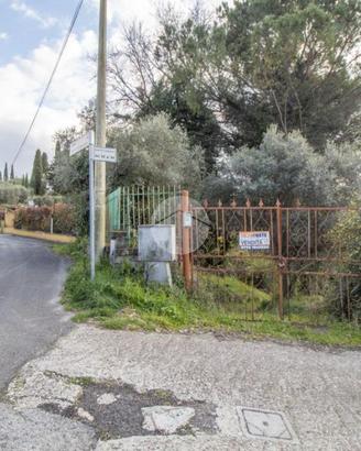 TER. AGRICOLO A PALOMBARA SABINA