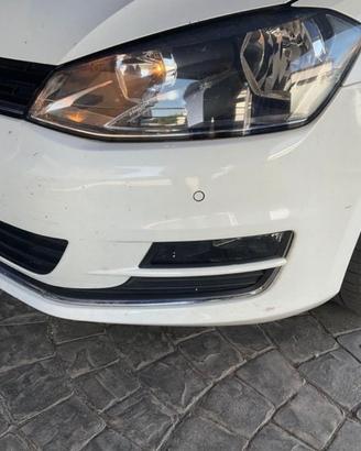 Volkswagen Golf 1.6 TDI 5p. Highline BlueMotion Te