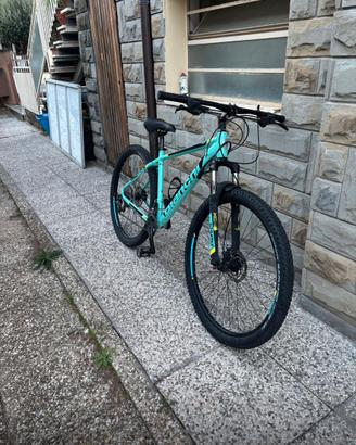 Bici bianchi